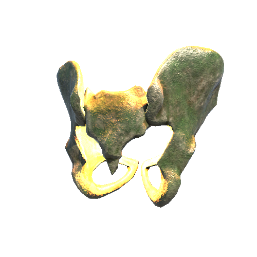 Llium_Sacrum_lod0 Variant